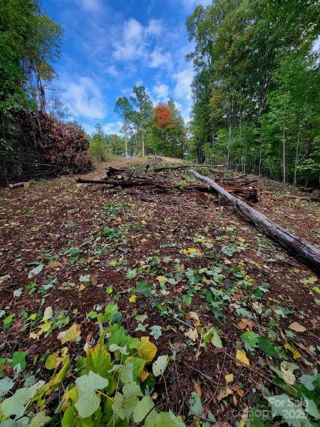 TBD Nicholas Knoll Rd, Bakersville, NC 28705 - photo 27