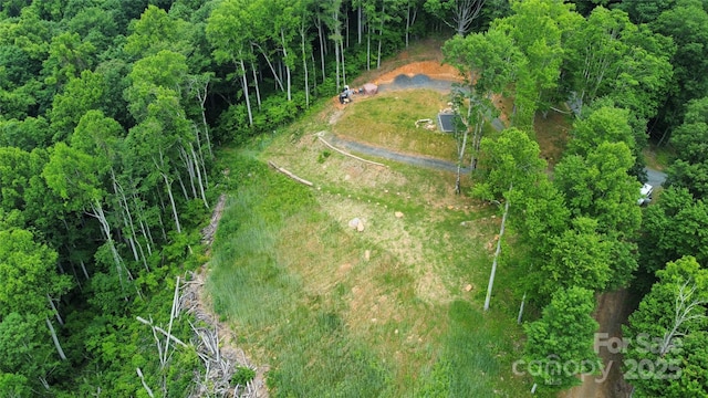 TBD Nicholas Knoll Rd, Bakersville, NC 28705 - photo 15