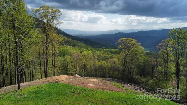 TBD Nicholas Knoll Rd, Bakersville, NC 28705 - photo 17