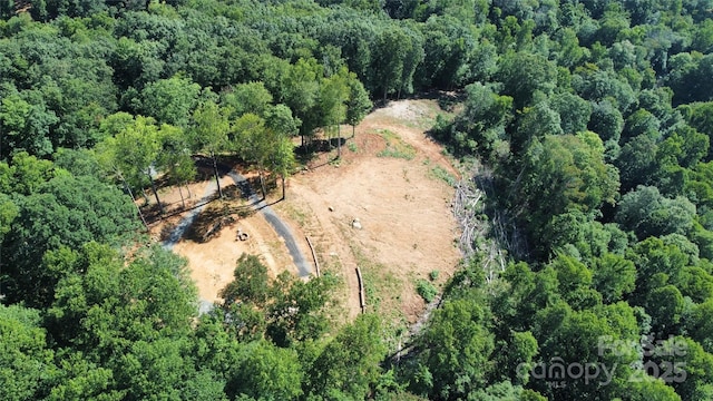 TBD Nicholas Knoll Rd, Bakersville, NC 28705 - photo 18