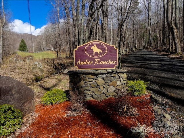 TBD Nicholas Knoll Rd, Bakersville, NC 28705 - photo 4
