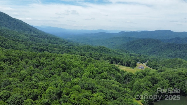 TBD Nicholas Knoll Rd, Bakersville, NC 28705 - photo 10