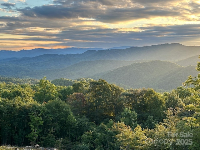 TBD Nicholas Knoll Rd, Bakersville, NC 28705 - photo 11