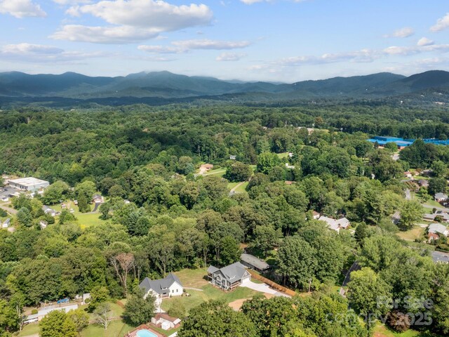 231 Asbury Rd, Candler, NC 28715 - photo 34