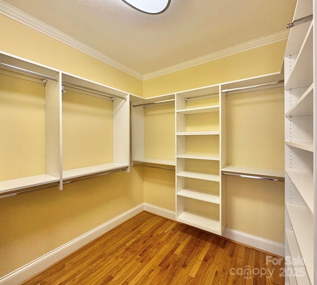 320 Lake Lynn Rd, Concord, NC 28025 - photo 30