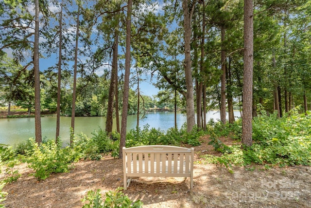 3935 Yosemite Way, Indian Land, SC 29707 - photo 30