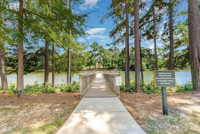 3935 Yosemite Way, Indian Land, SC 29707 - photo 31