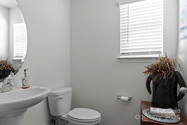 10 Chambers Garden Dr, Arden, NC 28704 - photo 7