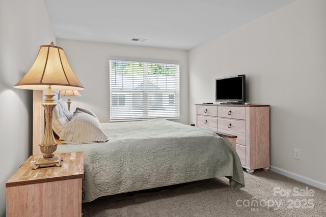 10 Chambers Garden Dr, Arden, NC 28704 - photo 14