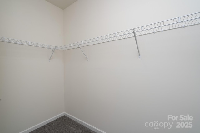 312 Settlers Grove Ln, Salisbury, NC 28146 - photo 30