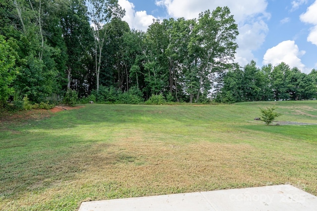 312 Settlers Grove Ln, Salisbury, NC 28146 - photo 47