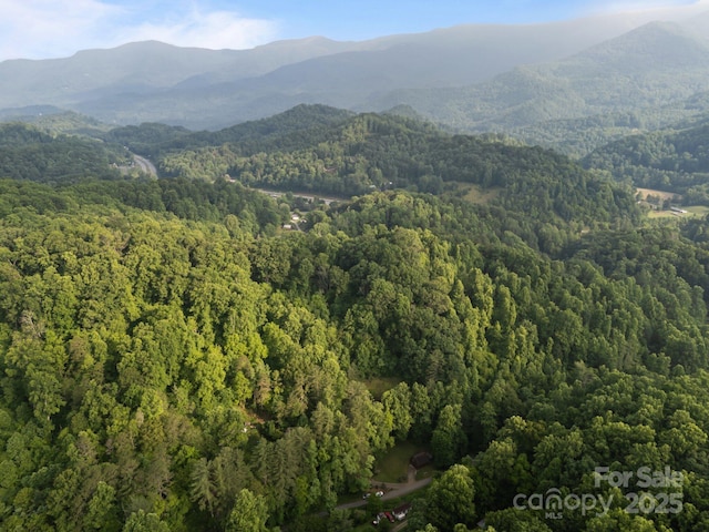 506 Cripple Crk, Sylva, NC 28779 - photo 21