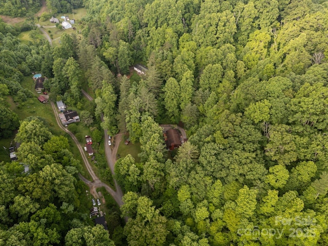 506 Cripple Crk, Sylva, NC 28779 - photo 22