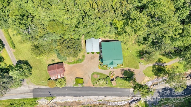 665 Upper Pig Pen Rd, Green Mountain, NC 28740 - photo 41