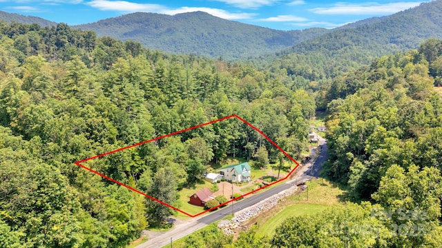 665 Upper Pig Pen Rd, Green Mountain, NC 28740 - photo 44