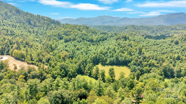 665 Upper Pig Pen Rd, Green Mountain, NC 28740 - photo 46