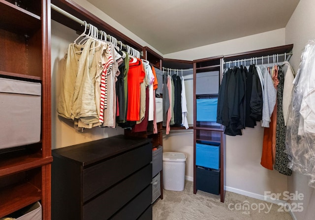9728 Elgin Moor Rd, Charlotte, NC 28278 - photo 22