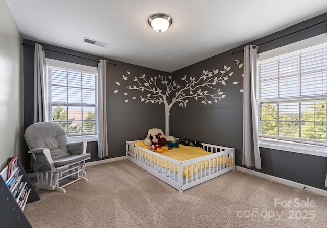 9728 Elgin Moor Rd, Charlotte, NC 28278 - photo 23