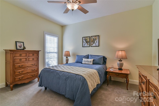 110 Michael Ct, Leicester, NC 28748 - photo 25