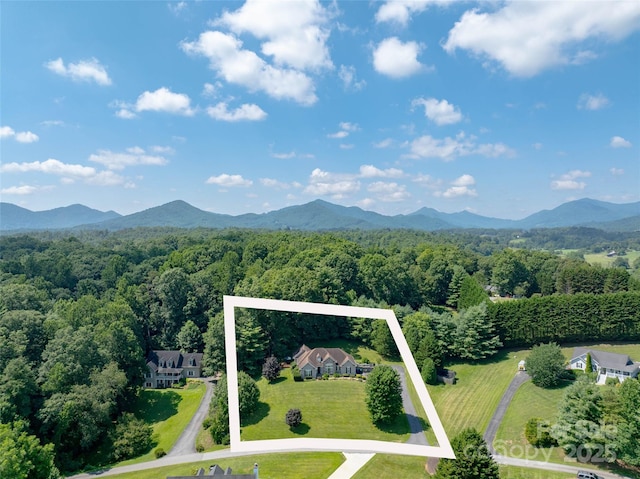 110 Michael Ct, Leicester, NC 28748 - photo 41
