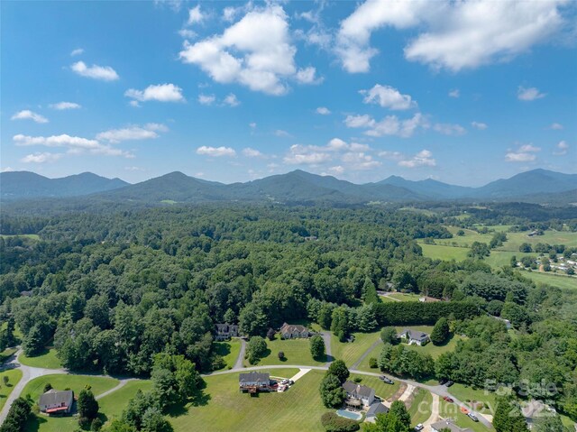 110 Michael Ct, Leicester, NC 28748 - photo 45