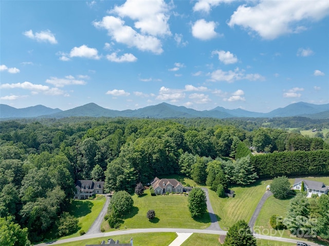 110 Michael Ct, Leicester, NC 28748 - photo 46