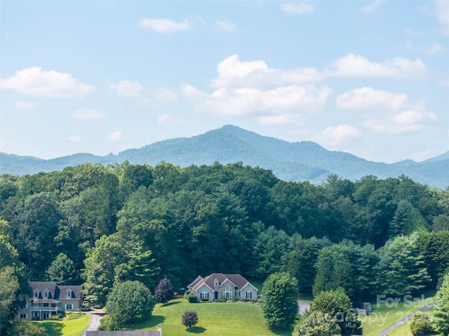 110 Michael Ct, Leicester, NC 28748 - photo 47