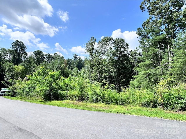 3 Winter Hawk Dr Unit 1, Arden, NC 28704 - photo 2