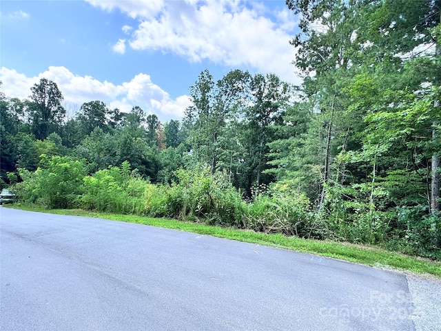 3 Winter Hawk Dr Unit 1, Arden, NC 28704 - photo 6