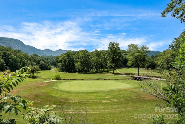 135 Logan Ct, Lake Lure, NC 28746 - photo 37