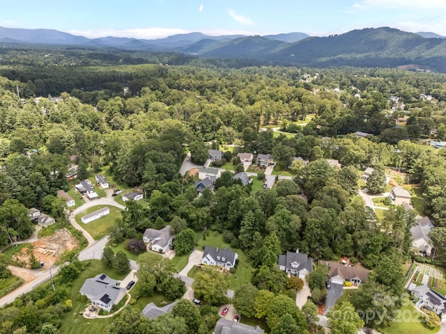 6 Springfield Way, Arden, NC 28704 - photo 47