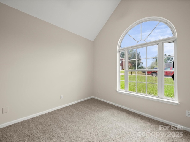 1331 Copper Creek Ln, Fort Mill, SC 29715 - photo 15