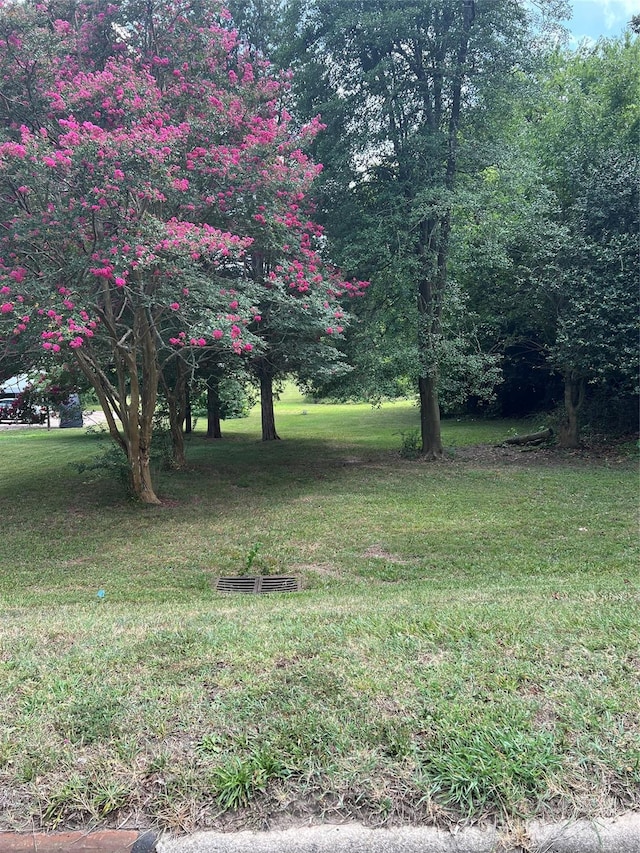 0000 Lane St, Kannapolis, NC 28083 - photo 2
