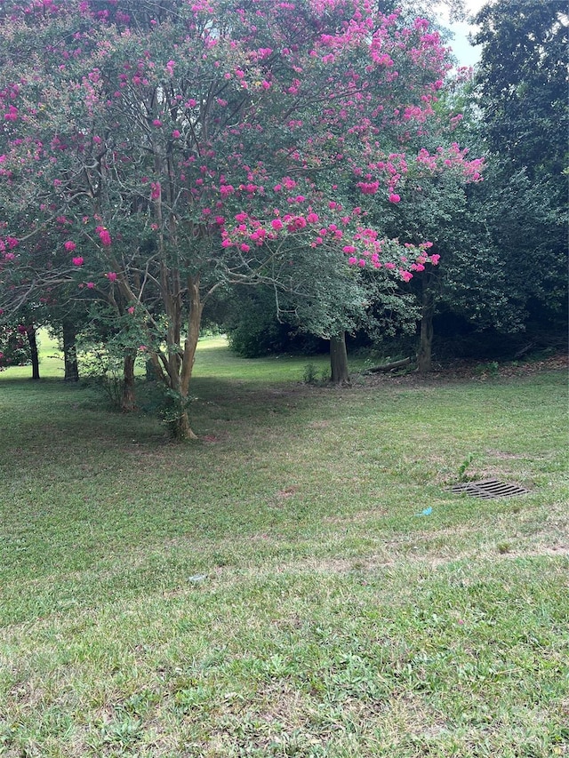 0000 Lane St, Kannapolis, NC 28083 - photo 3