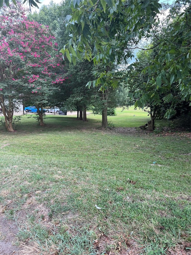 0000 Lane St, Kannapolis, NC 28083 - photo 4