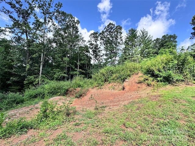 7 Winter Hawk Dr Unit 3, Arden, NC 28704 - photo 4