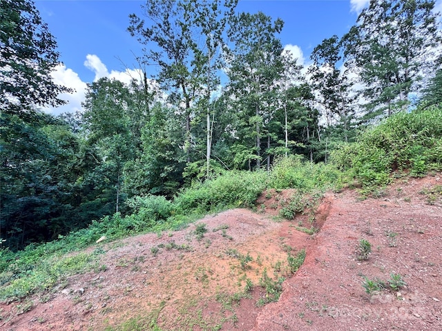 7 Winter Hawk Dr Unit 3, Arden, NC 28704 - photo 5