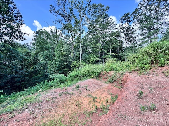 7 Winter Hawk Dr Unit 3, Arden, NC 28704 - photo 6