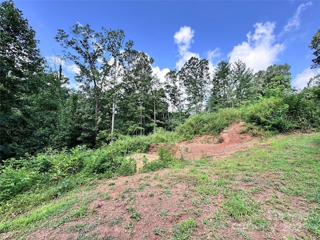 7 Winter Hawk Dr Unit 3, Arden, NC 28704 - photo 7