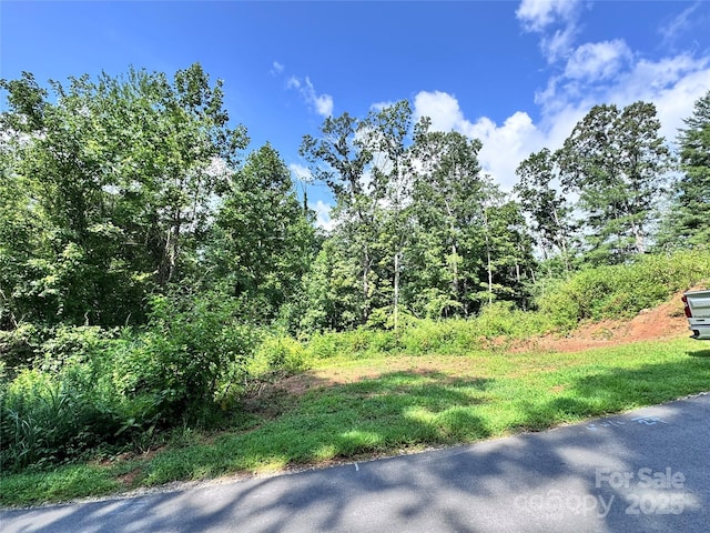 7 Winter Hawk Dr Unit 3, Arden, NC 28704 - photo 10