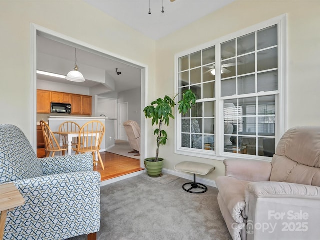 10317 Threatt Woods Dr, Charlotte, NC 28277 - photo 30