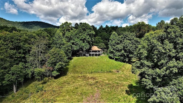 745 Broom Rd, Tuckasegee, NC 28783 - photo 4