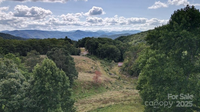 745 Broom Rd, Tuckasegee, NC 28783 - photo 8