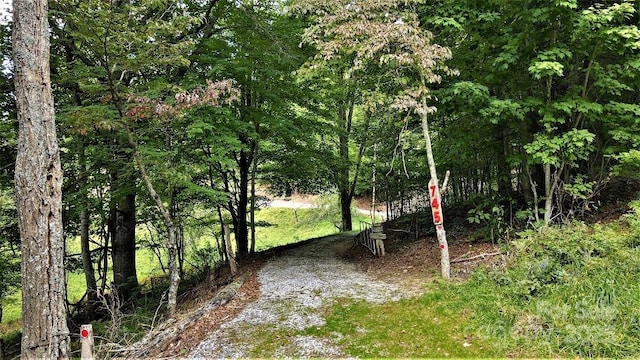 745 Broom Rd, Tuckasegee, NC 28783 - photo 9