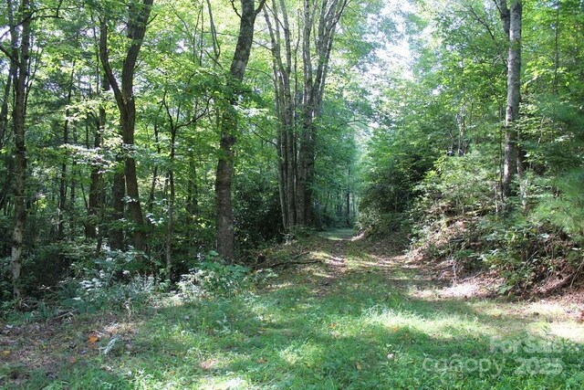 745 Broom Rd, Tuckasegee, NC 28783 - photo 34