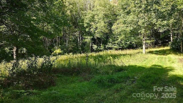 745 Broom Rd, Tuckasegee, NC 28783 - photo 35