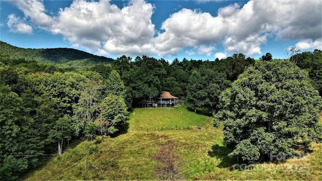 745 Broom Rd, Tuckasegee, NC 28783 - photo 40