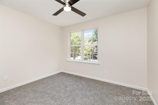 8390 Chaceview Ct, Charlotte, NC 28269 - photo 7