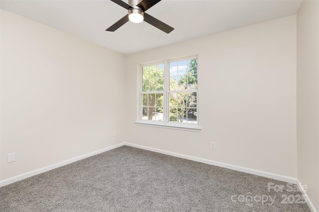 8390 Chaceview Ct, Charlotte, NC 28269 - photo 45