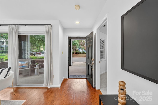 424 Mather Green Ave Unit M, Charlotte, NC 28203 - photo 4